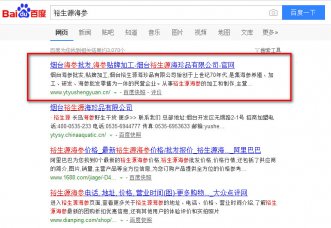 煙臺裕生源關鍵詞優化案例